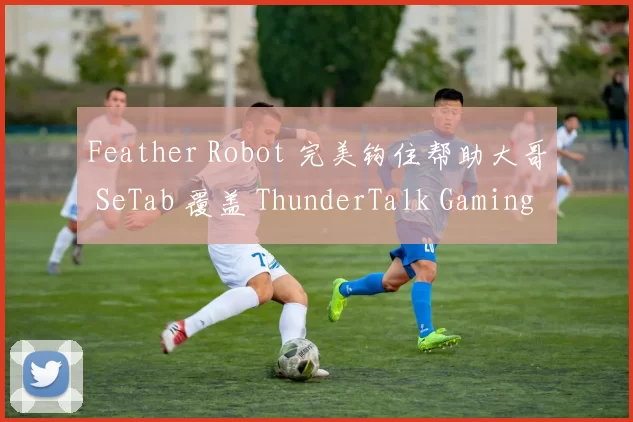 Feather Robot 完美钩住帮助大哥 SeTab 覆盖 ThunderTalk Gaming 德国杯 + 双杀 LNG Esports 在联赛中