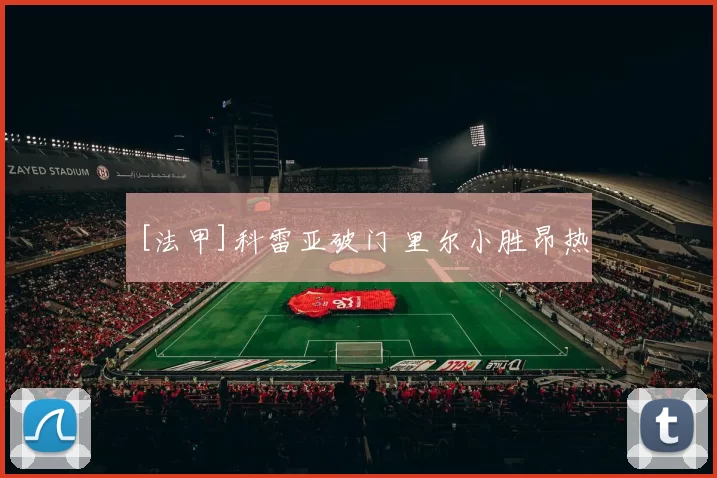 [法甲]科雷亚破门 里尔小胜昂热