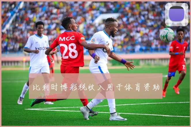 比利时博彩税收入用于体育资助