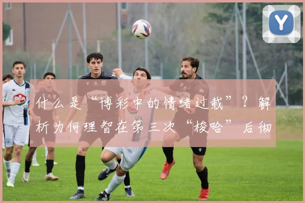 什么是“博彩中的情绪过载”？解析为何理智在第三次“梭哈”后彻底消失。（博彩里的情绪过载：为何第三次梭哈后理性彻底失守）