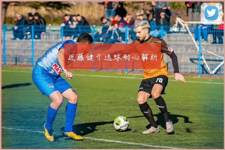 近藤健介选球耐心解析