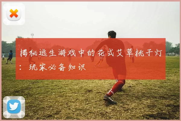 揭秘逃生游戏中的花式艾草桃子灯：玩家必备知识