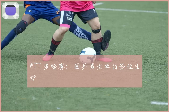 WTT 多哈赛：国乒男女单打签位出炉